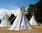 Three teepees together in a camp. This is a traditional form of shelter for native Americans, particularly for the Great Plains and American West.