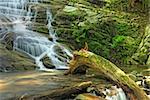 Photogenic little waterfall in the forests of Oregon in the Ayance Canyon area