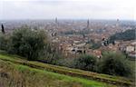 View of Verona city