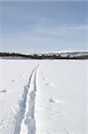 Ski Trail across a frozen lake