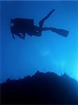 scuba diver in blue waters of sipadan island in sabah borneo