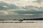 Bench commands view of Narragansett Bay under heavy clouds