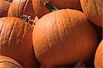 A large pile of plump and juicy pumpkins.