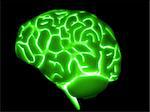 3d rendered anatomy illustration of a human green glowing human brain