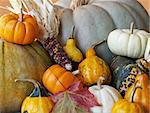 an assortment of fall pumpkins, squash, gourds and leaves