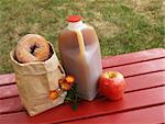 fall scene - apple cider, donuts and an apple