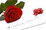 beautiful red rose - valentine card