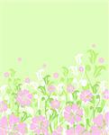 floral spring or summer background / vector