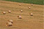 Field with straw bales and a meadow in the background