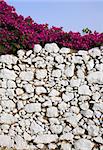 A decorative whitewashed stone wall with bougainvillea