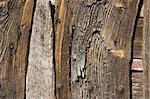 A weathered wooden door with rusty nails