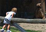 Young boy standing on wooden fence looking at camels at zoo
