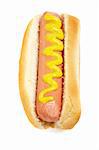 A hot dog with mustard and soft shadow on white background. Shallow DOF