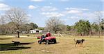 Banner of a farmer riding his off-road vehicle around his property with his dogs running along.