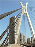 modern city view over suspension bridge support, Tokyo