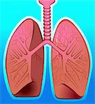 Illustration of human lungs in blue background