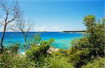 Green vegetation and beautiful beach