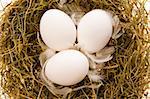Three chicken white eggs and feathers in a nest from a dry grass close up