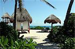 A tropical beach featuring palm trees and huts.