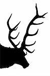 stag head illustration silhouette