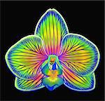 A phalaenopsis orchid bloom painted in electric, fantasy colors.