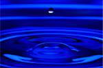 The water drop falls in dark blue water with dispersing circles close up