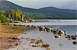 A pier in Loch Morlich, Glenmore Forest Park, Scotland