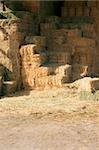 Hay stack stored in a barn in a cattle farm.