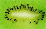Kiwi fruit macro shot - fresh green background