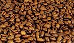 Background of coffee beans with great honey color