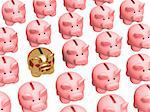 Gold pig coin box, worth in a rows of usual coin boxes. Objects over white