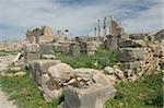 Volubilis is Roman old city in Morocco, and it is declared a UNESCO World Heritage site.