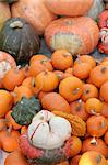 Assortment of fall pumpkins and parsnip