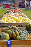 Freshly harvested vegetables and guards ready for sale at a local market