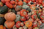 Pumpkins on the street