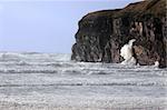 a west of ireland storm on its cliffs in ballybunion