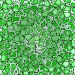 biology cellulate  texture background (green leaf)