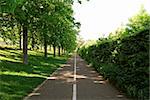 Serene green alley in Ludwigsburg, southern Germany