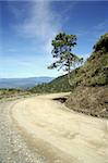 halsema mountain highway running between baguio and bontoc in the central cordillera, the philippines