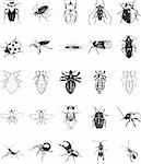 Twenty smooth vector clipart illustration of various insects