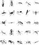 Twenty smooth vector clipart illustration of various insects