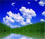 summer landscape - green field and blue sky