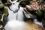 small waterfall on a creek in the woods; italian alps, europe.