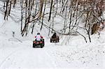 All Terrain Vehicles riding on a snowy forest path