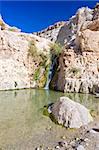 waterfall in an oasis in the Judea dessert (Ein Gedi Nature Reserve, David spring, lower waterfall) Israel