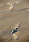 Prints of person legs on sand