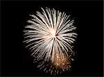 Fireworks being set off against a dark sky