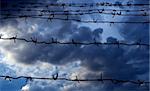 Barbed wire against the dark blue sky