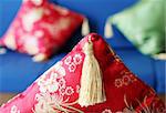 Close-up of a red oriental cushion on a sofa.