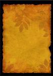 Autumn background - old, fragmentary parchment